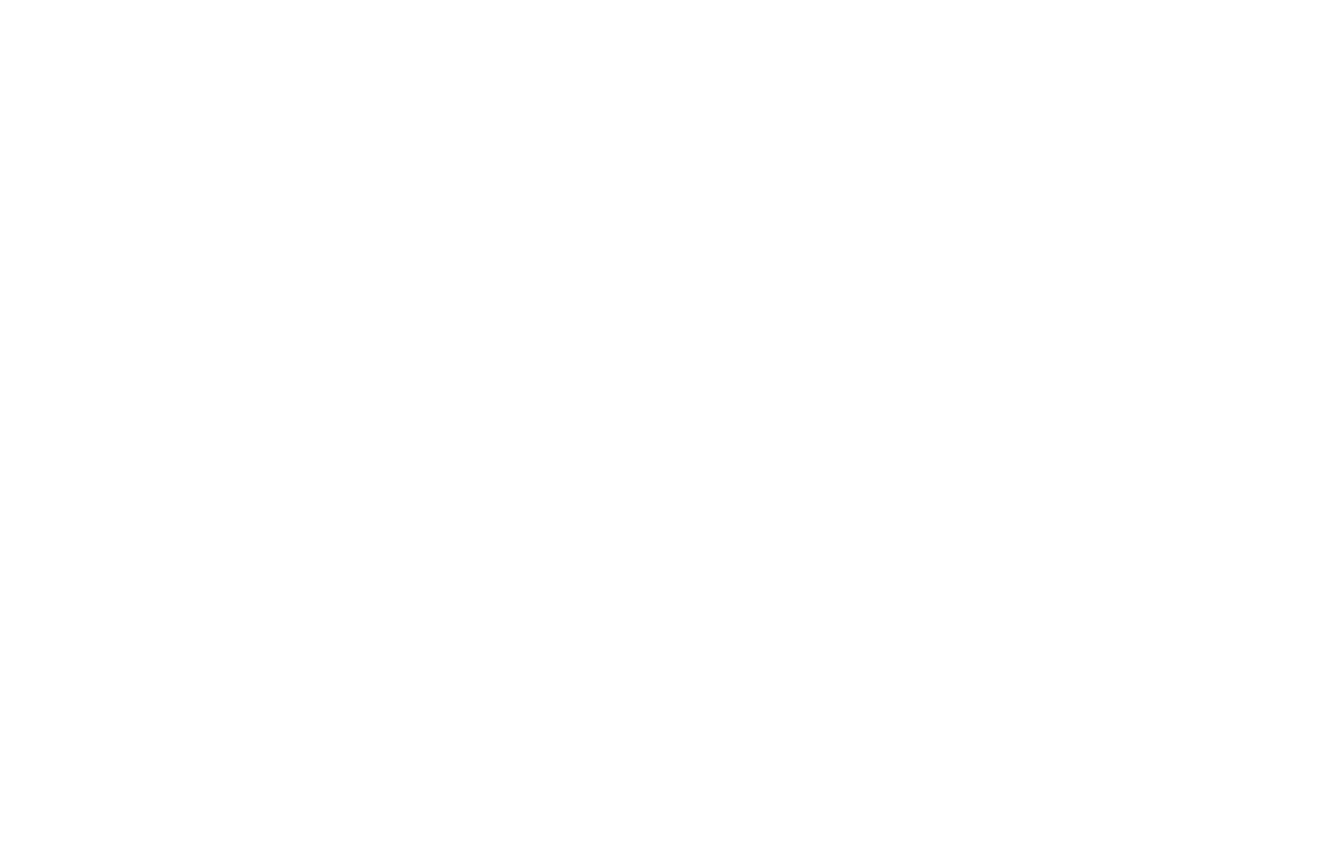 Pickleball one